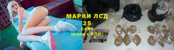 мдпв Кукмор