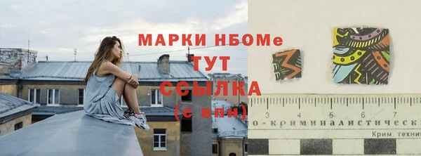 мдпв Кукмор