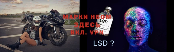 ПСИЛОЦИБИНОВЫЕ ГРИБЫ Куйбышев