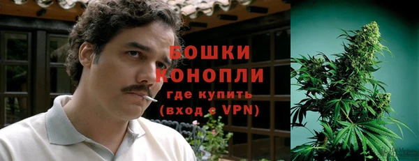 гидра Красноперекопск